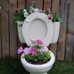 toilet Toilet Bowl Planter